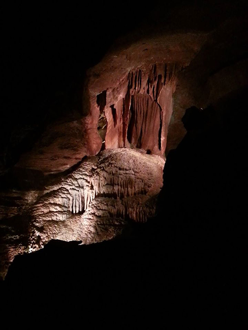 inside the cave sowing growth 